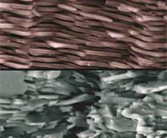 Un mat�riau innovant inspir� de la nacre dix fois plus tenace qu'une c�ramique classique