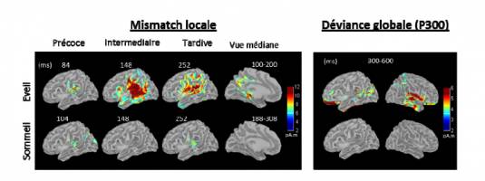 Le sommeil r�duit les capacit�s de pr�diction du cerveau