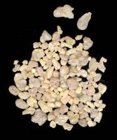 L'origine du parfum de la reine de Saba