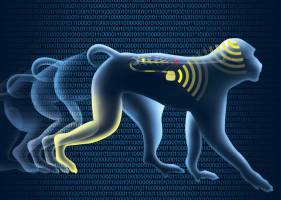 Un pas vers la (re)marche