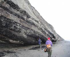 Il y a 55 millions d'ann�es la Sib�rie arctique avait un climat subtropical humide