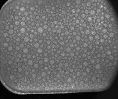 Thomas Pesquet, astronaute français de l'ESA, poursuit des expériences sur les mousses