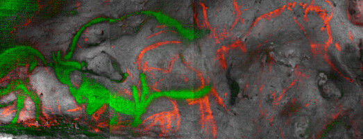 History & Archeology