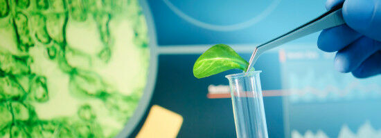 Acc�l�ration des biotechnologies industrielles europ�ennes : la France pays h�te de l'infrastructure de recherche IBISBA pilot�e par INRAE