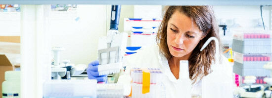 EXPLOR'AE : lancement du programme � Acc�l�ration de la recherche � risque en agriculture, alimentation et environnement � port� par INRAE