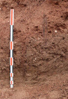 Redécouverte d'un faubourg médiéval à Épinal