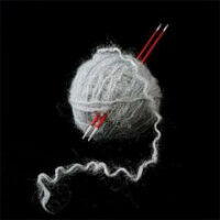 Réparation de l'ADN : comment retrouver la séquence identique dans l'immensité du génome