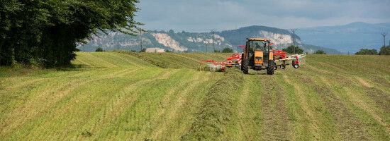R�sultat �conomique des exploitations agricoles et revenu des agriculteurs, une tr�s grande h�t�rog�n�it�