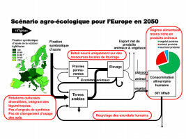 Une agriculture biologique pour nourrir l'Europe en 2050
